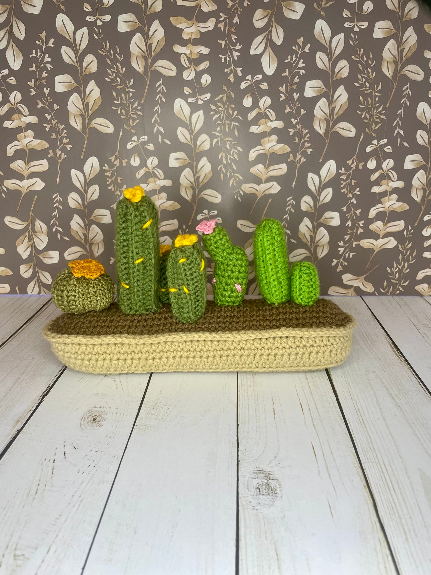Potted cactus plant