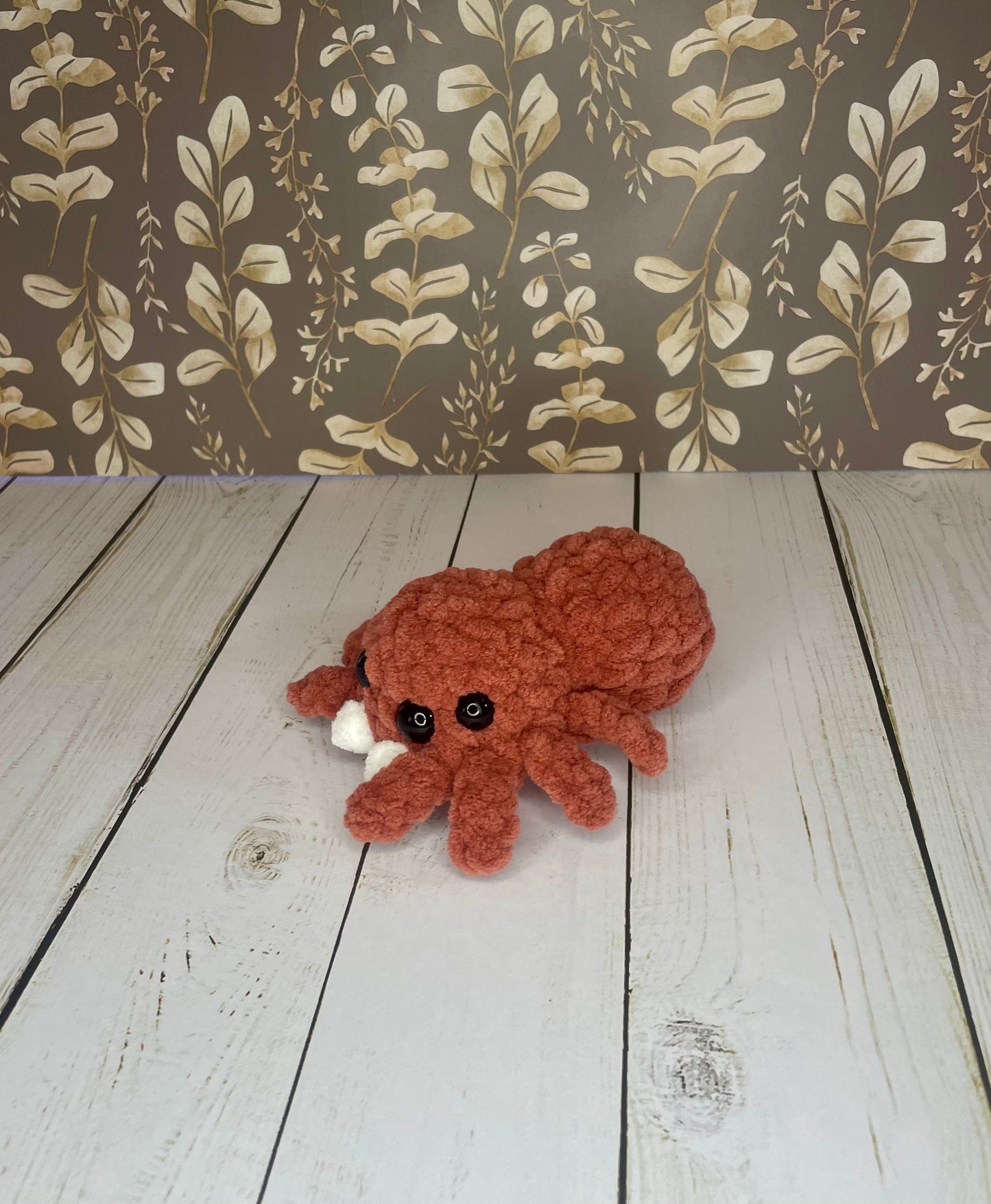 Jumping spider