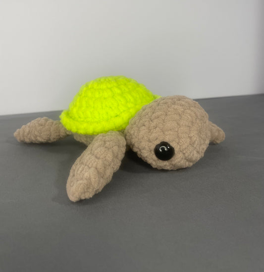 Small Sea Turtle